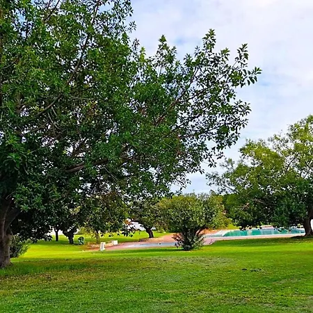Well Located Flat At Oura Apartment